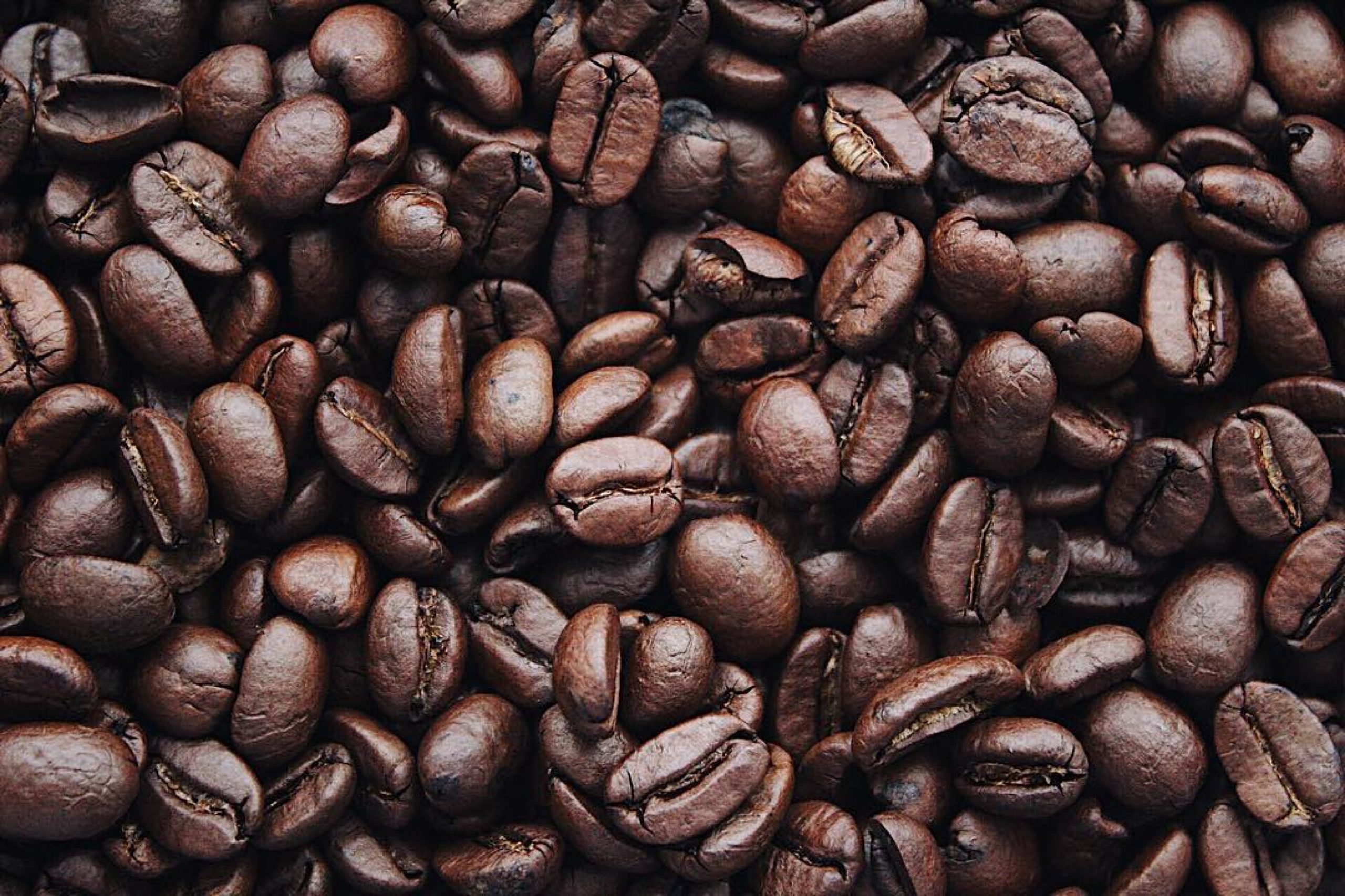 a bunch of coffee beans