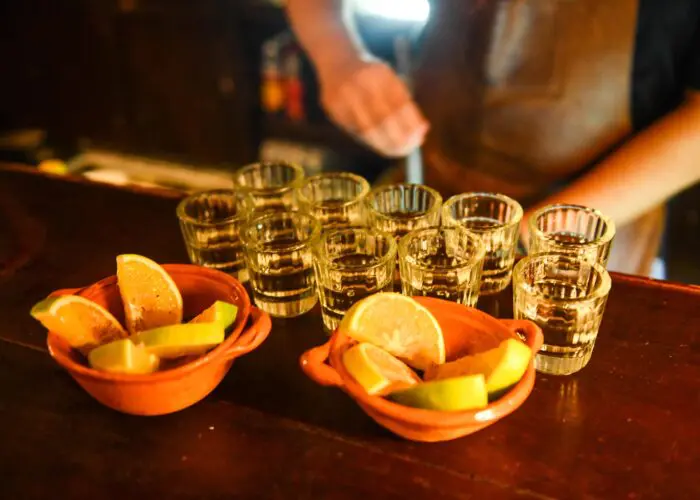 Mezcal glasses and slices of oranges