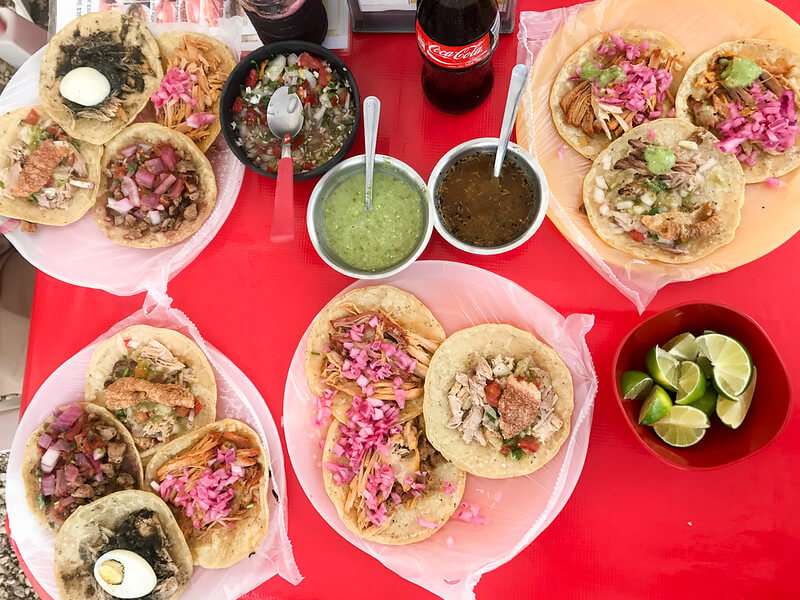 cochinita pibil mexico city Sabores mexico